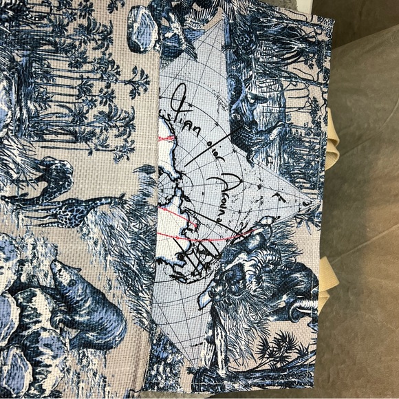 💙DIOR - Around The World - Straw style VIP Tote bag - Picture 4 of 4